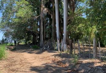 Rastreadoras encuentran una osamenta humana junto a una vivienda en Eldorado