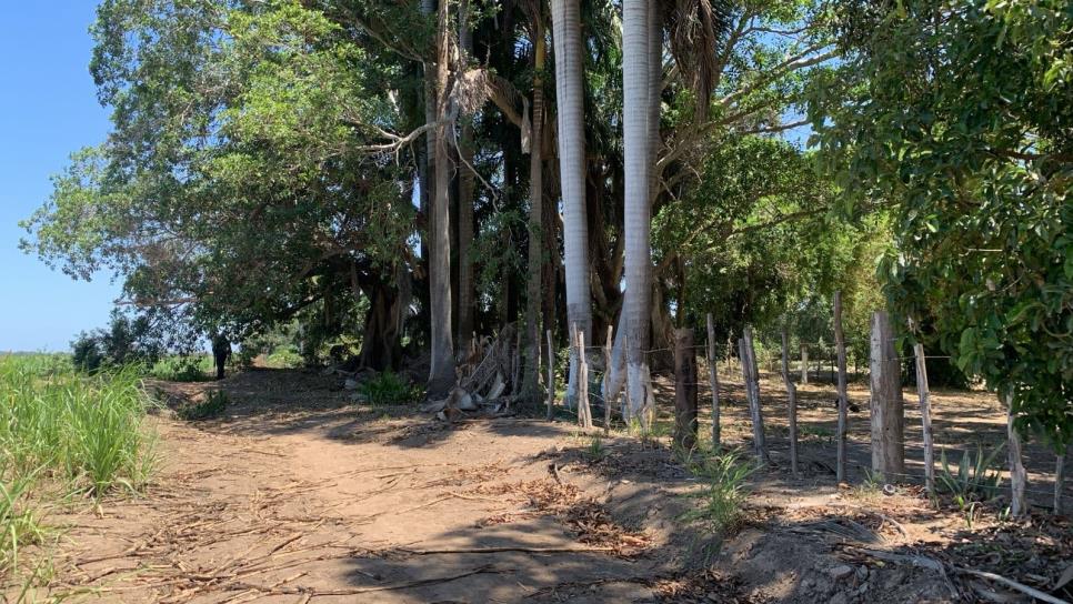Rastreadoras encuentran una osamenta humana junto a una vivienda en Eldorado Rastreadoras encuentran una osamenta humana junto a una vivienda en Eldorado