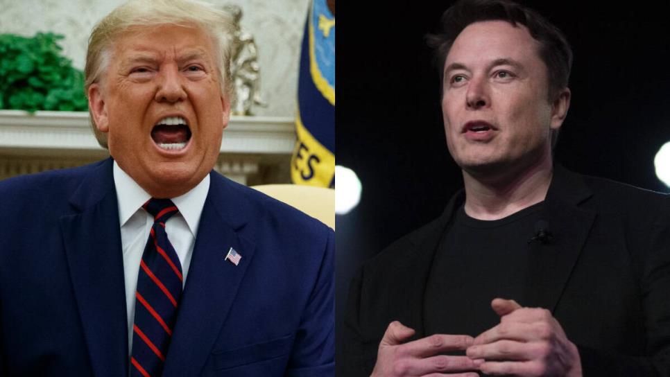 Elon Musk acusa a Trump de estar en los archivos Epstein; asegura que sin él no habría ganado las elecciones Elon Musk acusa a Trump de estar en los archivos Epstein; asegura que sin él no habría ganado las elecciones