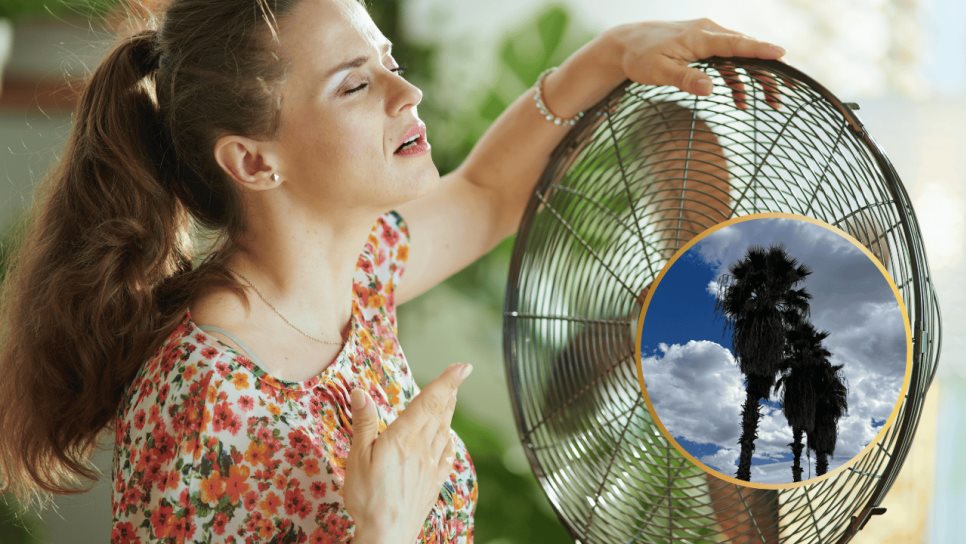 Clima en Los Mochis este viernes, 06 de junio: Calor intenso y cielos despejados