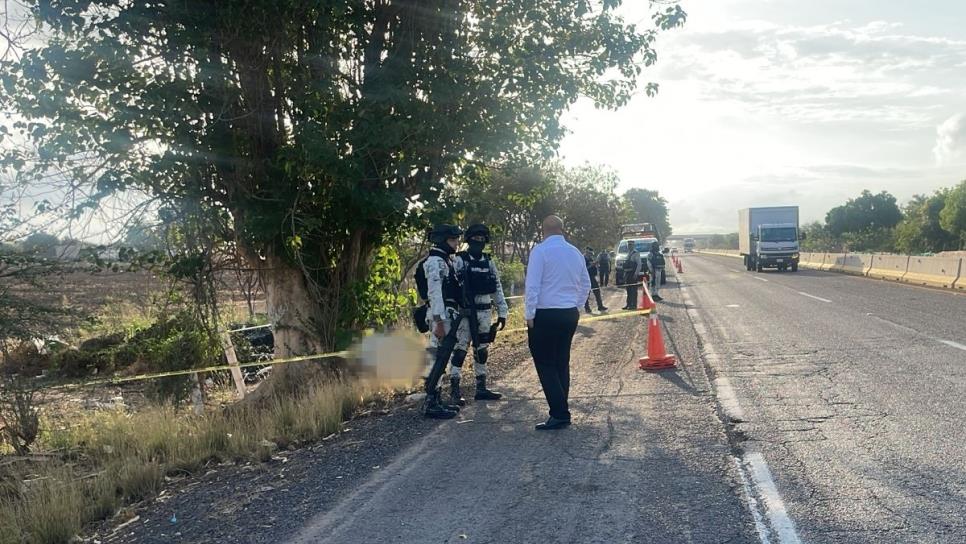 Arrojan 2 cuerpos con un mensaje sobre la autopista Benito Juárez, a la altura de Balbuena, Navolato Arrojan 2 cuerpos con un mensaje sobre la autopista Benito Juárez, a la altura de Balbuena, Navolato