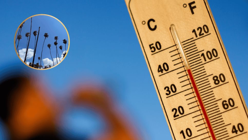Clima en Los Mochis este sábado, 07 de junio: día soleado y caluroso Clima en Los Mochis este sábado, 07 de junio: día soleado y caluroso