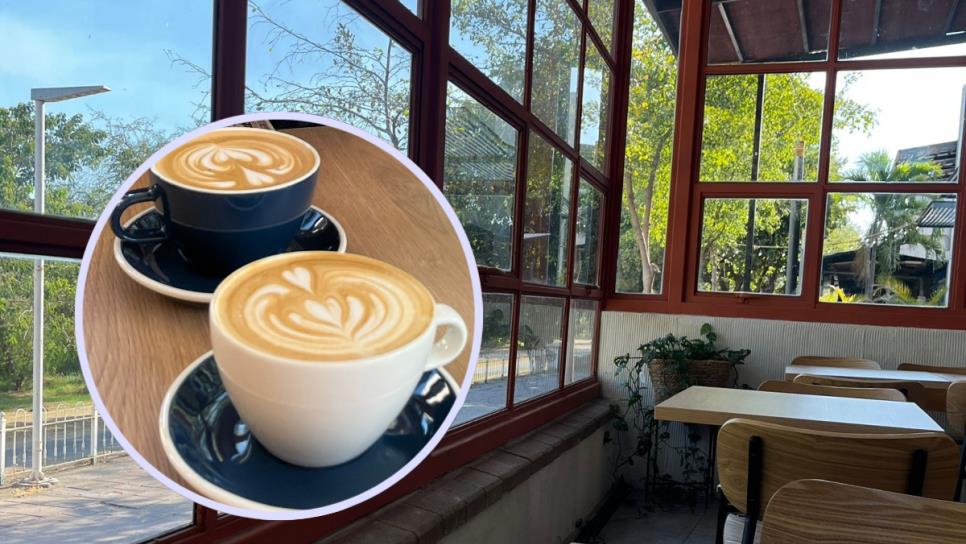 Cafés "aesthetics" que puedes encontrar en Culiacán para pasar un buen rato Cafés "aesthetics" que puedes encontrar en Culiacán para pasar un buen rato