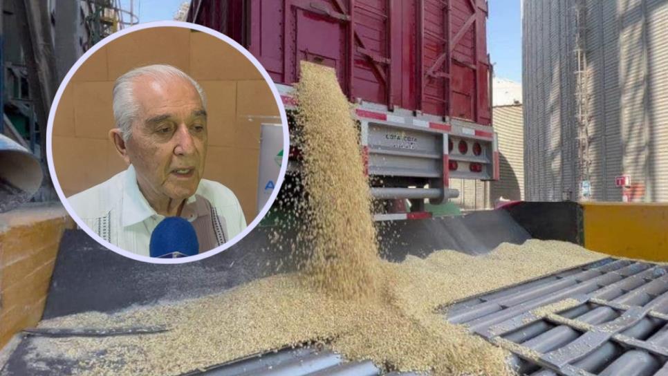 SADER advierte que Sinaloa se quedará sin maíz antes del 20 de junio SADER advierte que Sinaloa se quedará sin maíz antes del 20 de junio