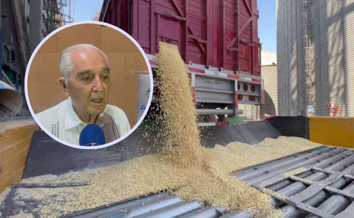 SADER advierte que Sinaloa se quedará sin maíz antes del 20 de junio