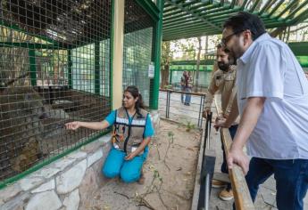 Gámez Mendívil anuncia mejoras a las instalaciones del Zoológico de Culiacán