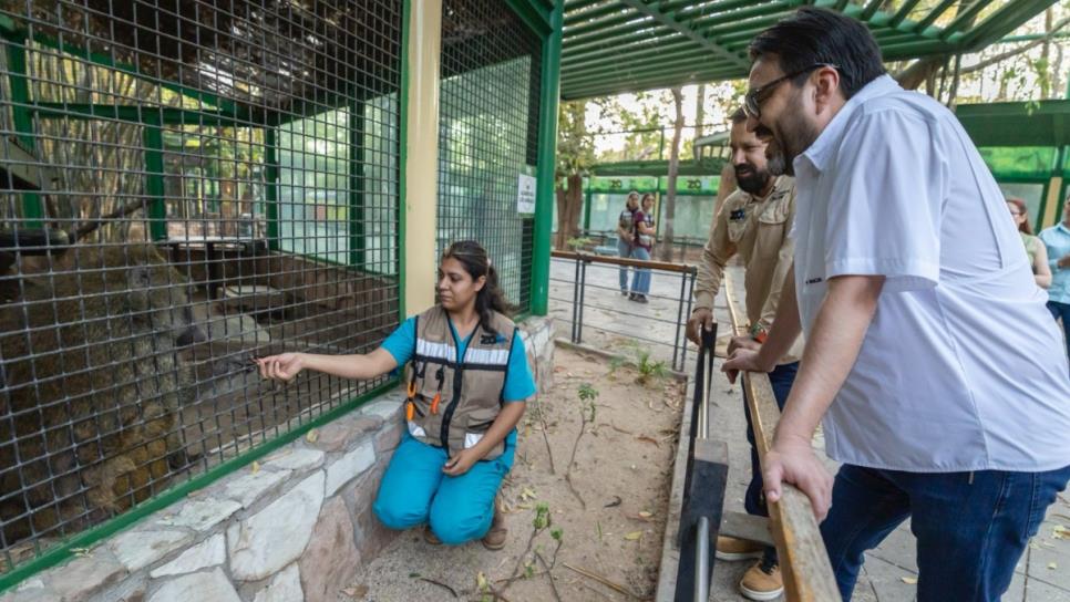 Gámez Mendívil anuncia mejoras a las instalaciones del Zoológico de Culiacán Gámez Mendívil anuncia mejoras a las instalaciones del Zoológico de Culiacán