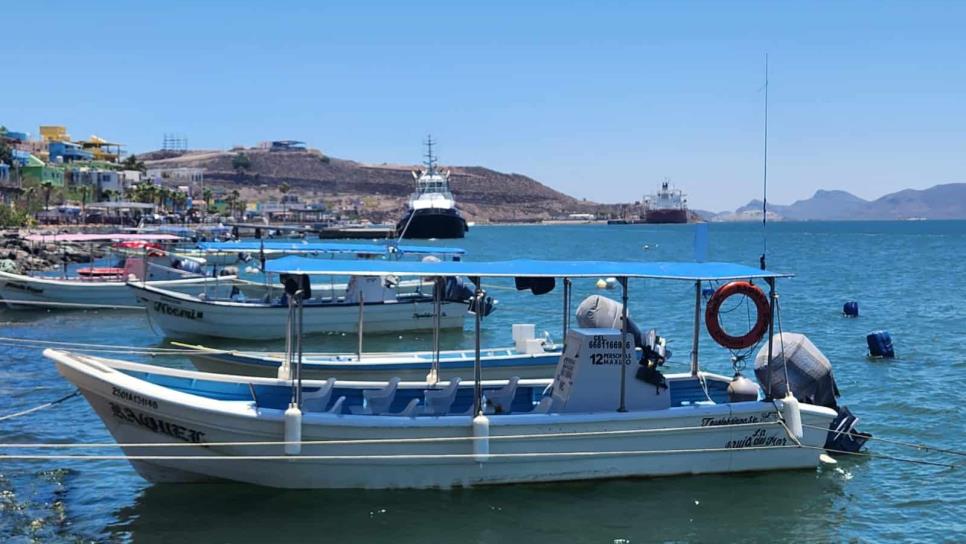 Paseos en lancha en Topolobampo: ¿Cuánto cuestan, por cuánto tiempo son y qué lugares visitar? Paseos en lancha en Topolobampo: ¿Cuánto cuestan, por cuánto tiempo son y qué lugares visitar?