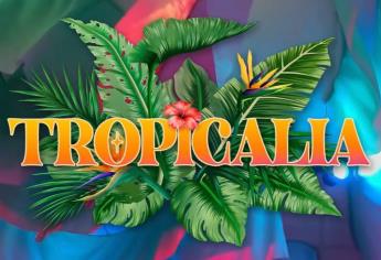 Tropicalia, el nuevo recorrido temático del Gran Acuario de Mazatlán: ¿En qué consiste?