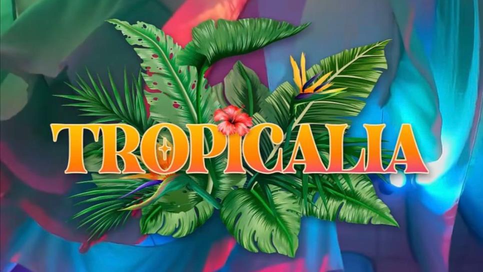 Tropicalia, el nuevo recorrido temático del Gran Acuario de Mazatlán: ¿En qué consiste? Tropicalia, el nuevo recorrido temático del Gran Acuario de Mazatlán: ¿En qué consiste?