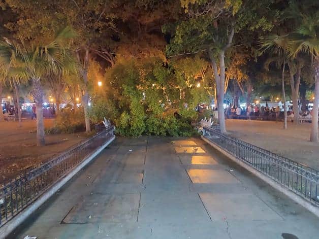 Imagen Placeholder