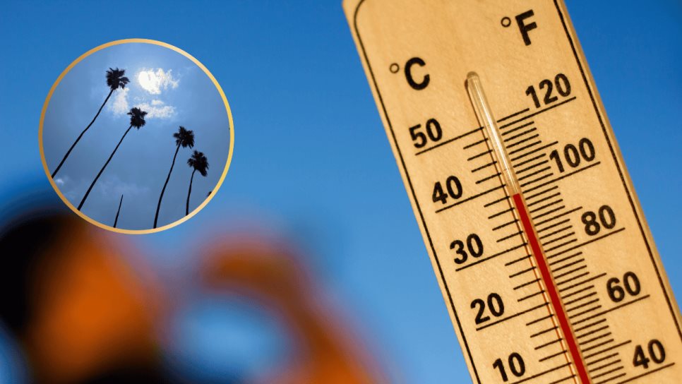 Clima en Los Mochis para este martes 10 de junio: Calor intenso y vientos fuertes Clima en Los Mochis para este martes 10 de junio: Calor intenso y vientos fuertes