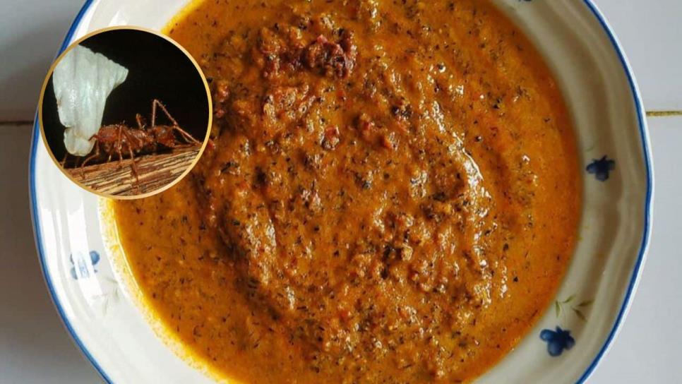 Estas hormigas de Badiraguato se comen asadas o salseadas; son muy nutritivas Estas hormigas de Badiraguato se comen asadas o salseadas; son muy nutritivas