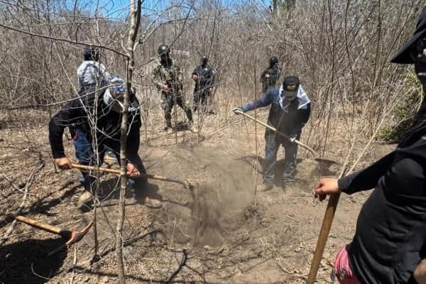 Imagen Placeholder Imagen Placeholder