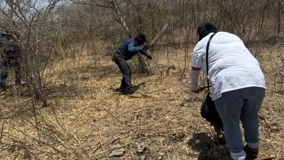 Durante el fin de semana se han realizado hallazgos en distintas fosas. (FOTO: Luz Noticias).