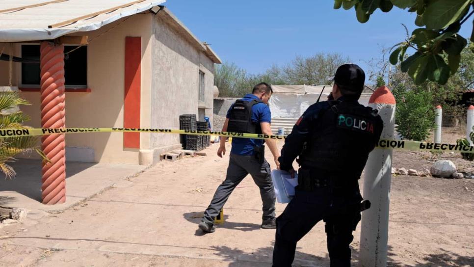 Matan a 3 hombres en La Guamúchilera, Mocorito; eran tío y sobrino, otro está sin identificar Matan a 3 hombres en La Guamúchilera, Mocorito; eran tío y sobrino, otro está sin identificar