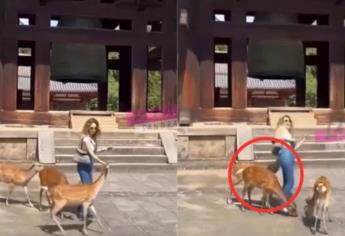 Geraldine Bazán es mordida por un venado durante su viaje a Japón | VIDEO