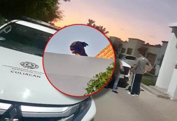 Rescatan a perro Pit Bull del techo de una casa en Valle Alto, Culiacán