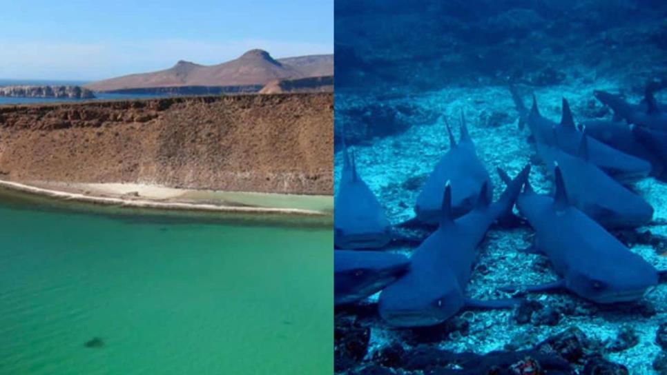 Esta es la isla más grande de México, no cuenta con hoteles ni restaurantes, ¿está cerca de Sinaloa?