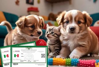 CURP para perros y gatos 2025: ¿Habrá multas en caso de no registrar a tus mascotas?