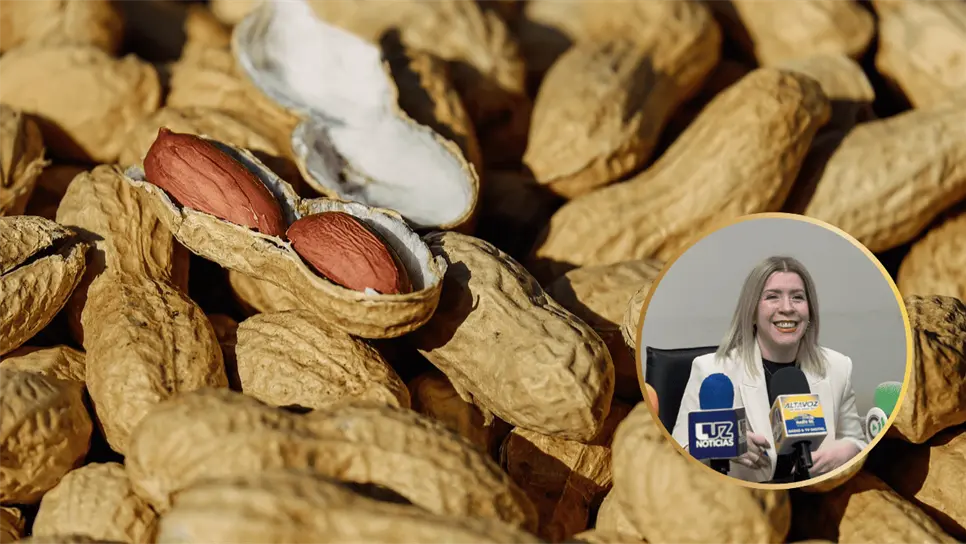 FOTO: Programa de apoyo a cacahuateros.