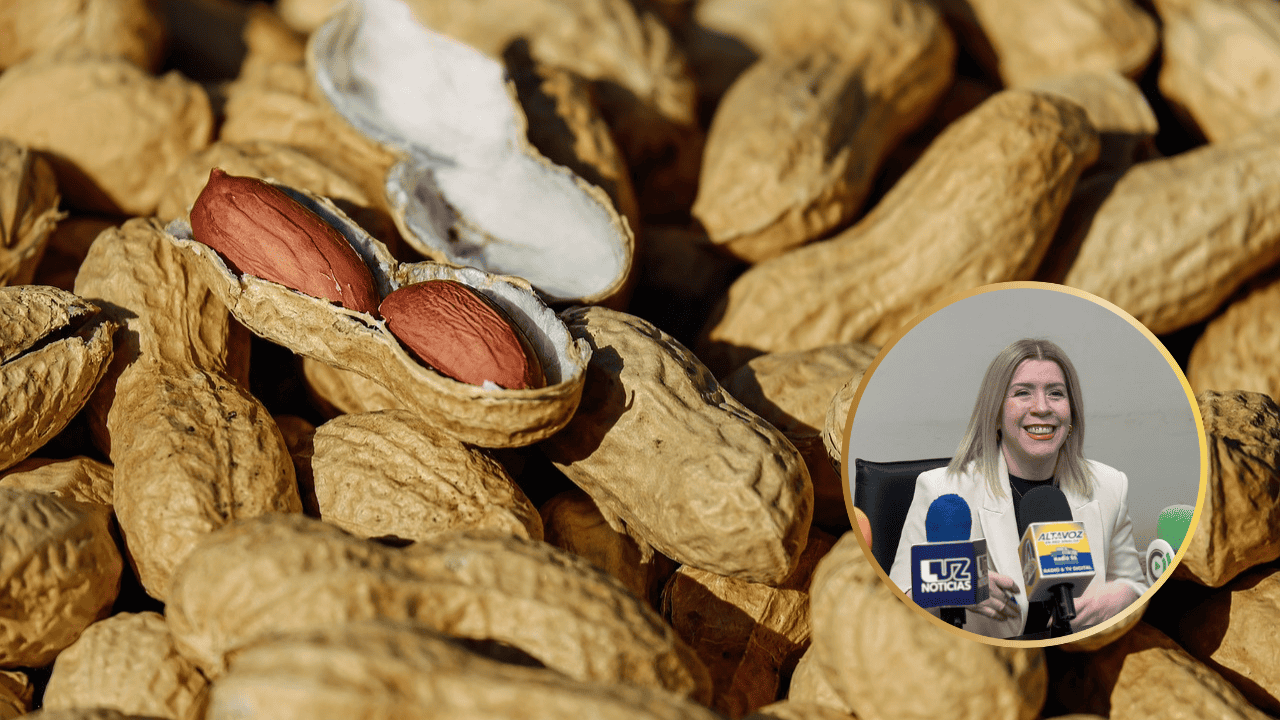 Abren convocatoria de programa de apoyo para productores de cacahuate 2025