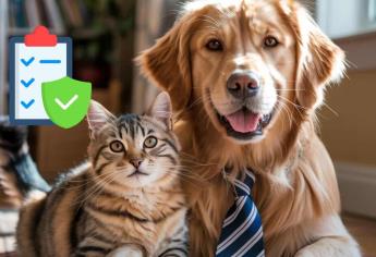 RUAC: ¿Te pueden multar por no registrar a tu mascota? Esto debes saber