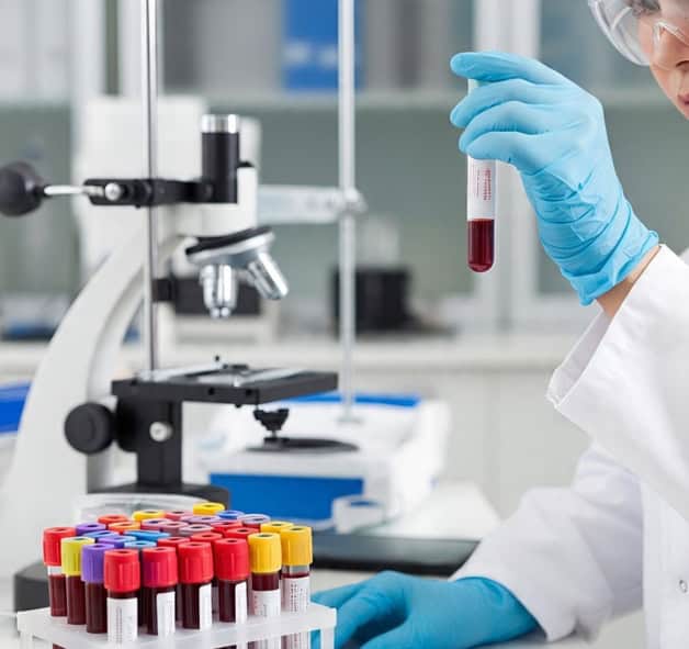 Imagen Placeholder Imagen Placeholder