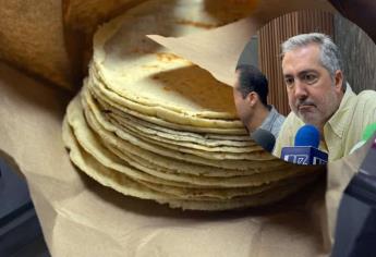 Tortillas con maíz transgénico, acusan productores