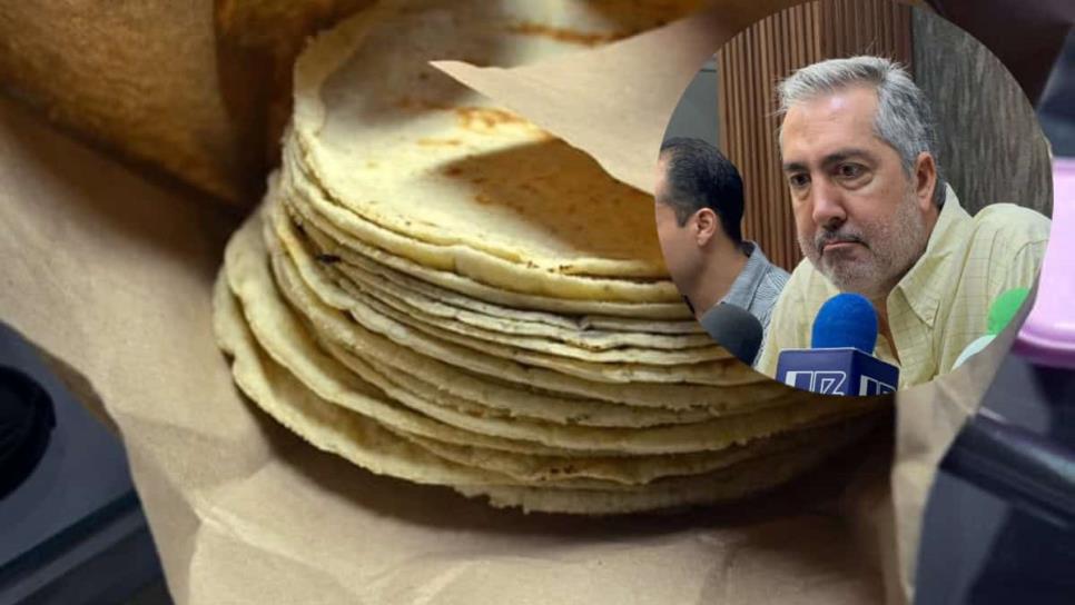 Tortillas con maíz transgénico, acusan productores Tortillas con maíz transgénico, acusan productores