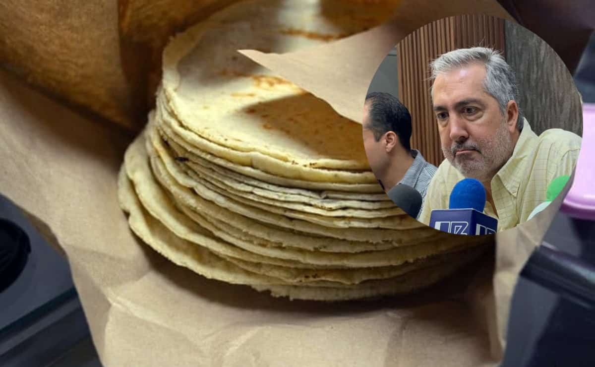Tortillas con maíz transgénico, acusan productores