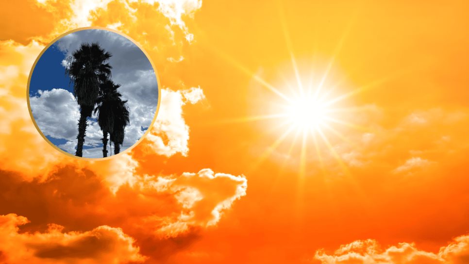 Pronóstico del clima para este miércoles, 11 de junio, en Los Mochis: cielo despejado y calor extremo Pronóstico del clima para este miércoles, 11 de junio, en Los Mochis: cielo despejado y calor extremo