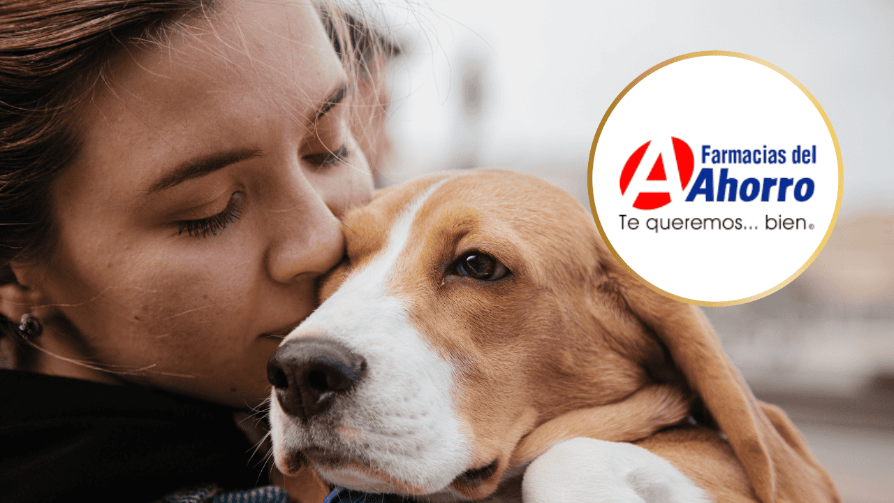 FOTO: Farmacias del Ahorro destina espacios para las mascotas.