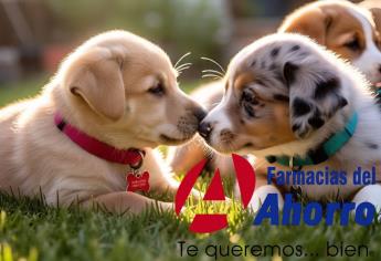 “Mascotas del Ahorro”: ¿Qué es y qué productos venderán?