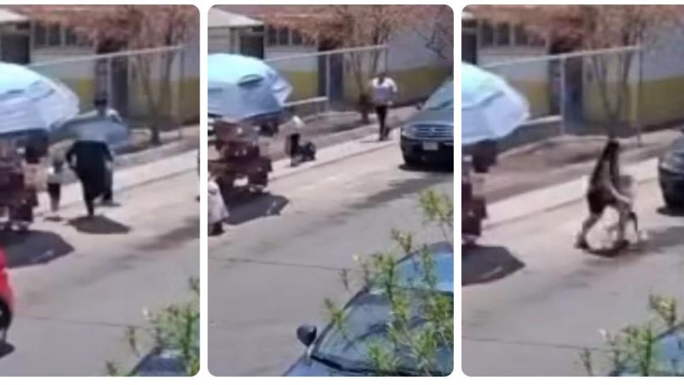 Balacera afuera de un kínder de Culiacán provoca pánico en niños y padres de familia Balacera afuera de un kínder de Culiacán provoca pánico en niños y padres de familia