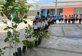 Más de 1,500 árboles nativos han sido donados en Mazatlán por el departamento de Ecología