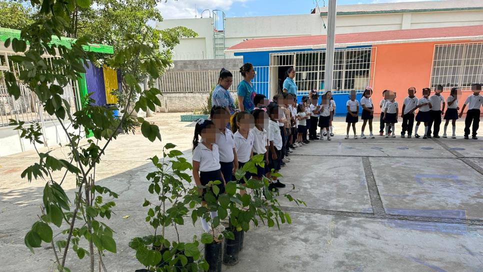Más de 1,500 árboles nativos han sido donados en Mazatlán por el departamento de Ecología Más de 1,500 árboles nativos han sido donados en Mazatlán por el departamento de Ecología