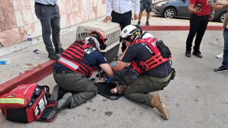 Sicarios atropellan a una perrita tras ejecutar a un hombre en Colinas de San Miguel, Culiacán Sicarios atropellan a una perrita tras ejecutar a un hombre en Colinas de San Miguel, Culiacán