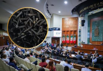 Congreso aprueba 10 años de cárcel para quienes usen y fabriquen “ponchallantas”