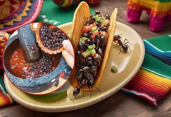 Hormigas chicatanas: ¿Cuánto cuesta el kilo de este manjar de tiempo de lluvias?