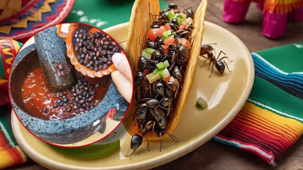 Hormigas chicatanas: ¿Cuánto cuesta el kilo de este manjar de tiempo de lluvias? Hormigas chicatanas: ¿Cuánto cuesta el kilo de este manjar de tiempo de lluvias?