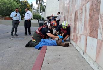 Reportan grave a perrita atropellada por sicarios en atentado en Colinas de San Miguel, Culiacán