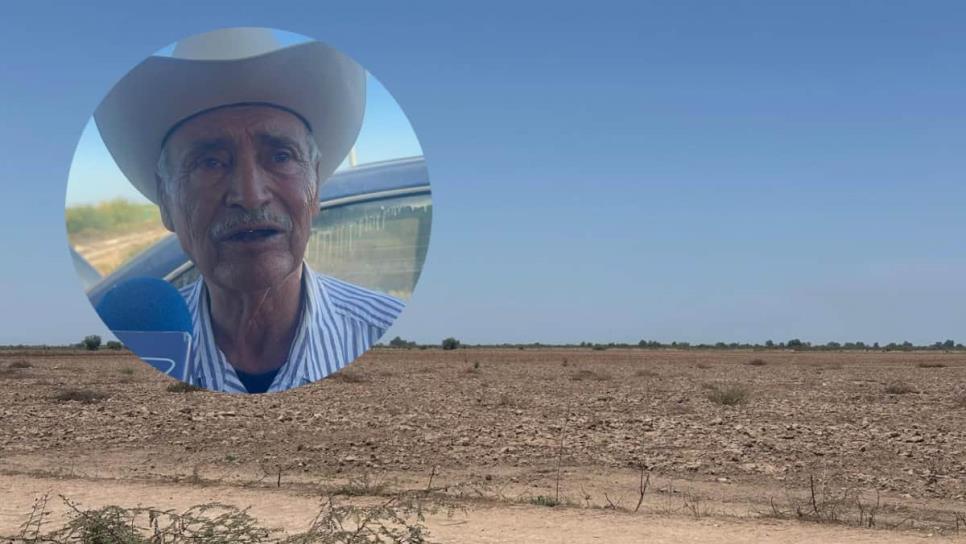 Productores del Carrizo venden tierras y maquinaria ante crisis agrícola Productores del Carrizo venden tierras y maquinaria ante crisis agrícola