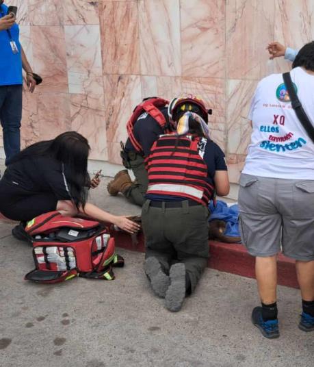 Ángeles vestidos de paramédicos buscan salvar la vida de perrita atropellada en atentado a balazos