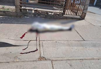 Dejan cuerpo envuelto con mensaje frente a Mariscos Cande en la colonia Francisco I. Madero, al sur de Culiacán