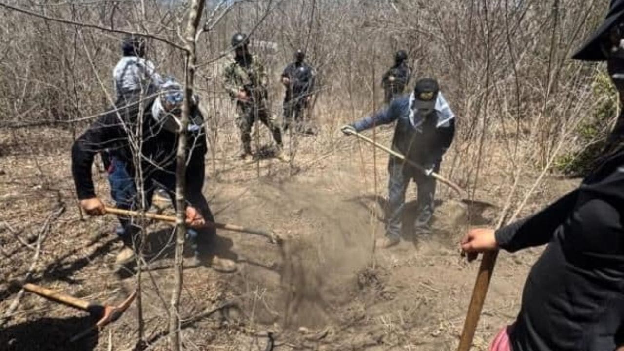 Estos hallazgos se realizan en coordinación con personal de la Comisión Estatal de Búsqueda de Personas, así como con personal de las fuerzas federales y de la Fiscalía General del Estado de Sinaloa