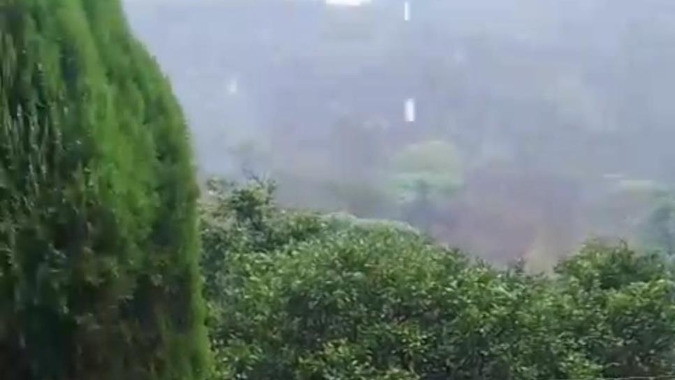 Se registran lluvias en Badiraguato, Mocorito, Angostura y Sinaloa de Leyva Se registran lluvias en Badiraguato, Mocorito, Angostura y Sinaloa de Leyva