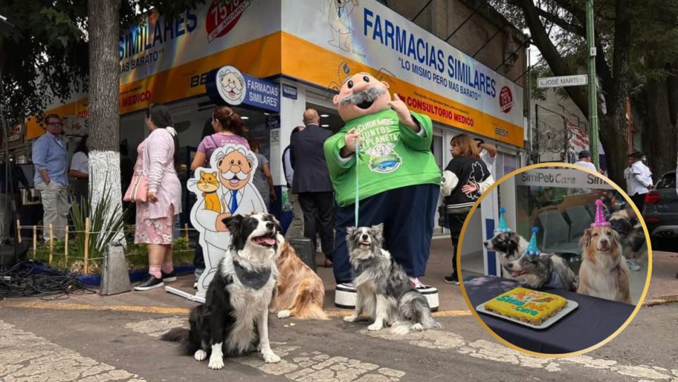 ¡Dr. Simi ahora cuida a tus perros y gatos! Abre su primera veterinaria SimiPet Care; aquí te decimos su ubicación ¡Dr. Simi ahora cuida a tus perros y gatos! Abre su primera veterinaria SimiPet Care; aquí te decimos su ubicación
