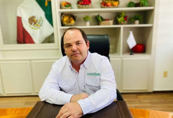 “Sin Sinaloa no se puede”: CAADES al ser incluidos en Plan Nacional de Producción de Maíz Blanco