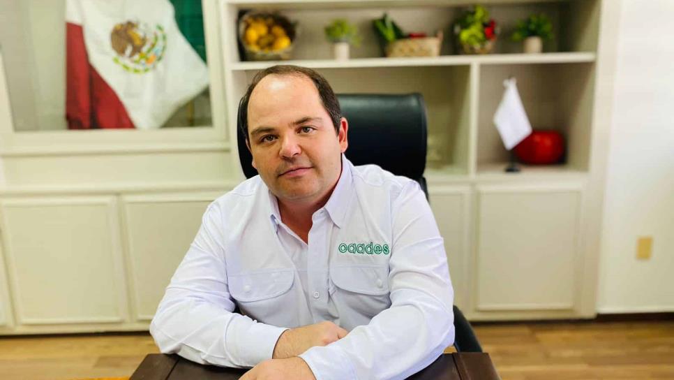 “Sin Sinaloa no se puede”: CAADES al ser incluidos en Plan Nacional de Producción de Maíz Blanco